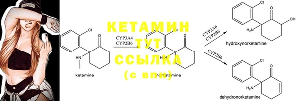 амф Балахна