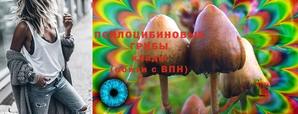 амф Балахна